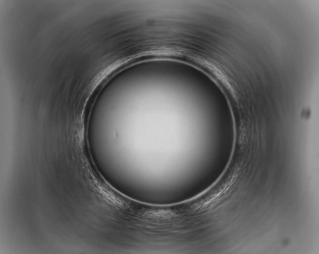 X0000100950837200807011307
