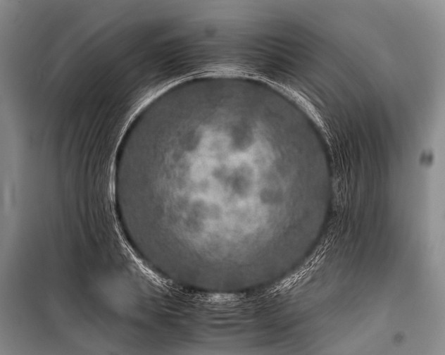 X0000100950839200807011307