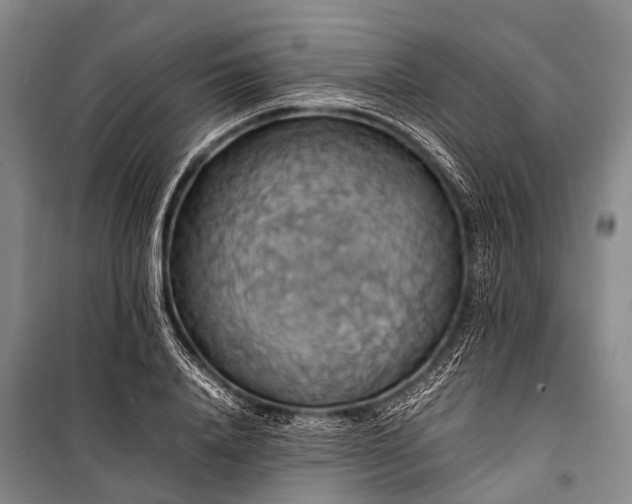 X0000100950840200807011307