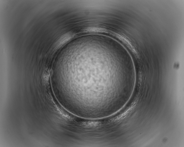 X0000100950841200807011307