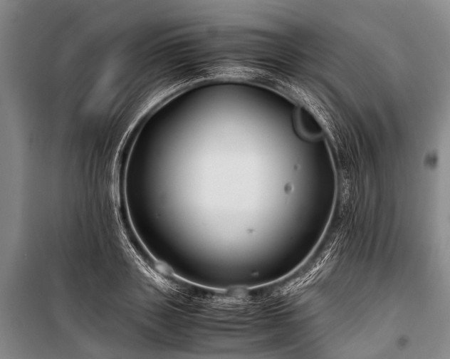 X0000100950843200807011307
