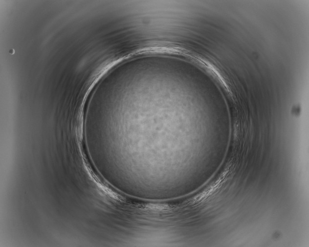 X0000100950844200807011307