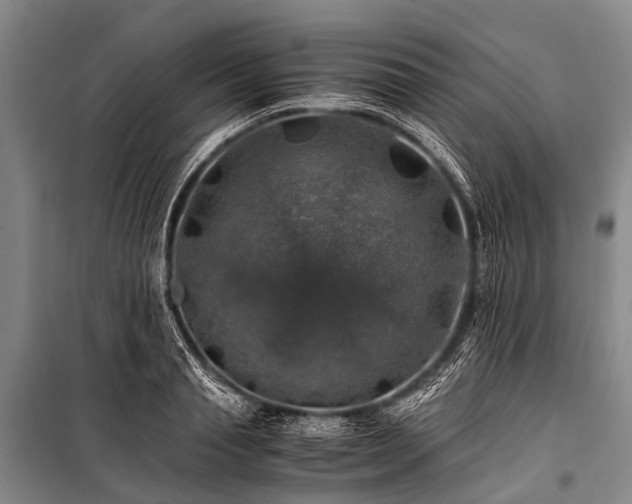 X0000100950845200807011307
