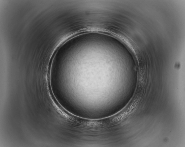 X0000100950847200807011307