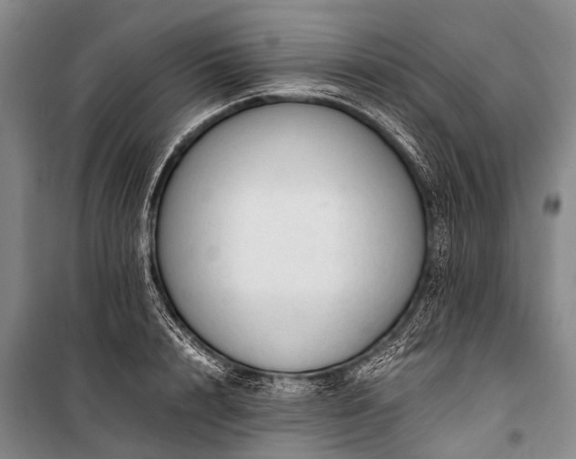 X0000100950848200807011307