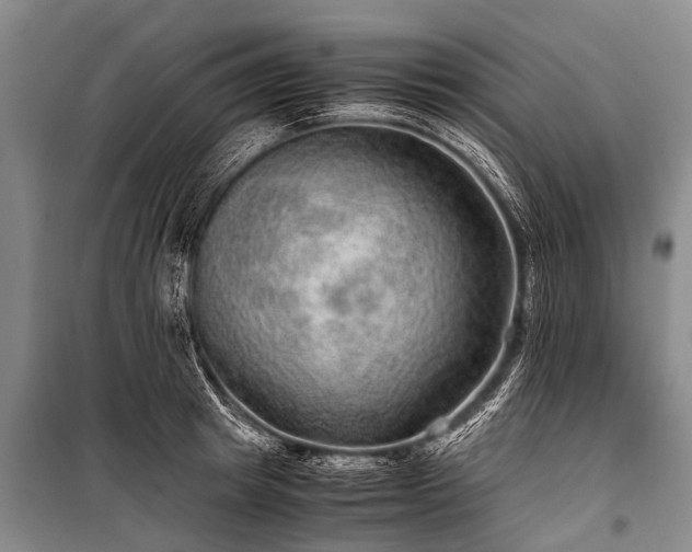 X0000100950849200807011307
