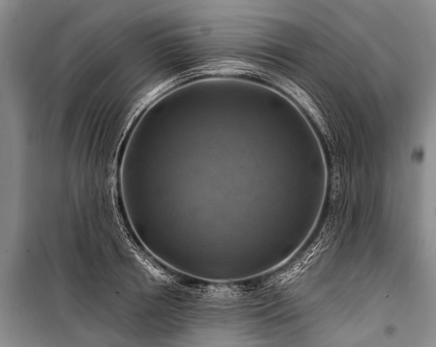 X0000100950850200807011307