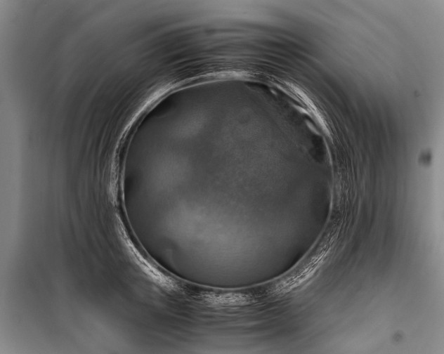 X0000100950851200807011307