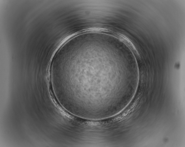 X0000100950852200807011307