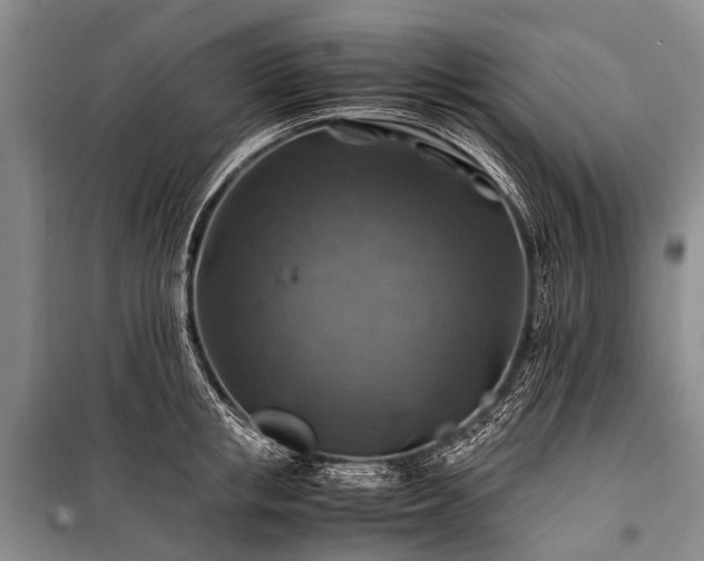 X0000100950853200807011307