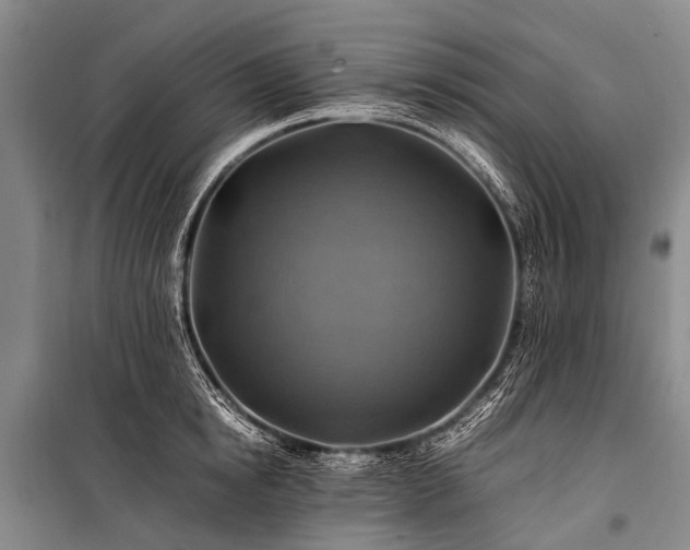 X0000100950854200807011307