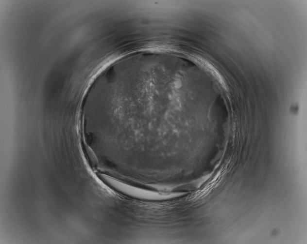 X0000100950855200807011307