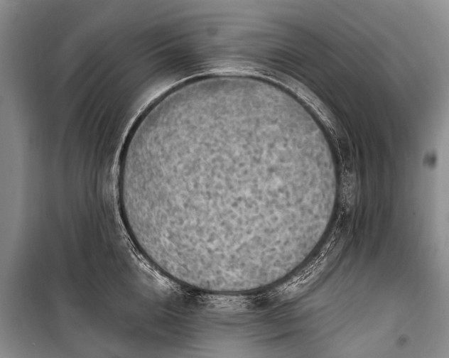 X0000100950856200807011307