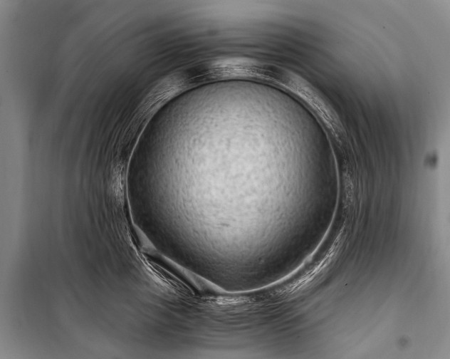 X0000100950857200807011307