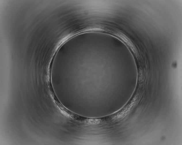 X0000100950858200807011307