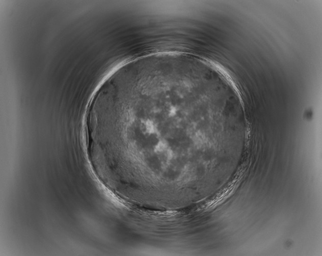 X0000100950859200807011307