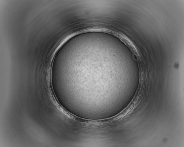 X0000100950860200807011307