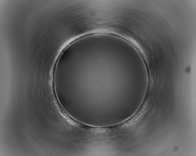 X0000100950862200807011307