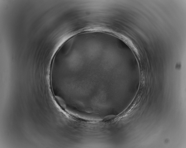 X0000100950863200807011307