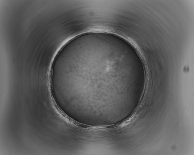 X0000100950864200807011307