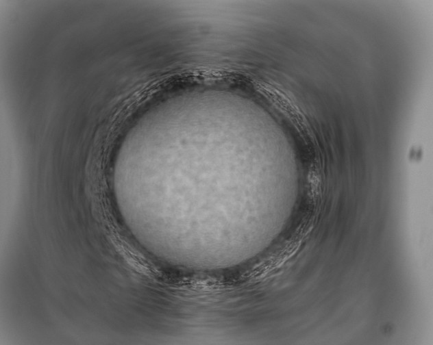 X0000100950865200807011306