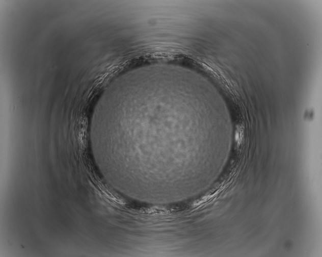 X0000100950867200807011306