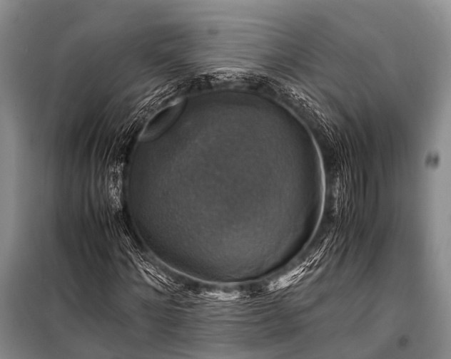 X0000100950868200807011306