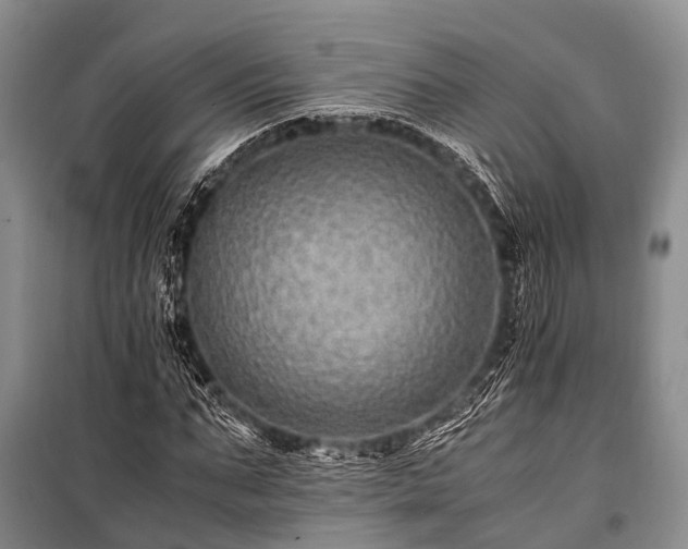 X0000100950871200807011306