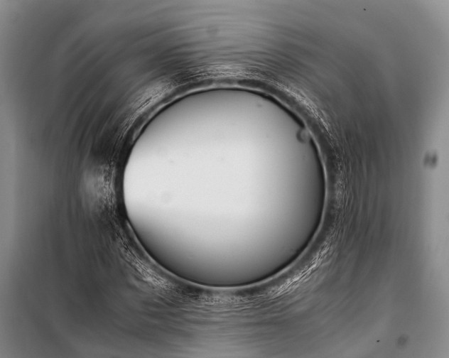 X0000100950873200807011306