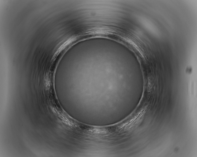 X0000100950874200807011306
