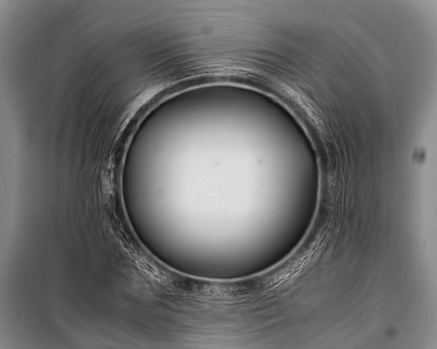 X0000100950875200807011306