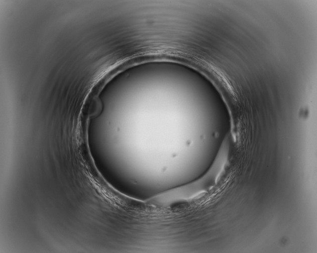 X0000100950876200807011306