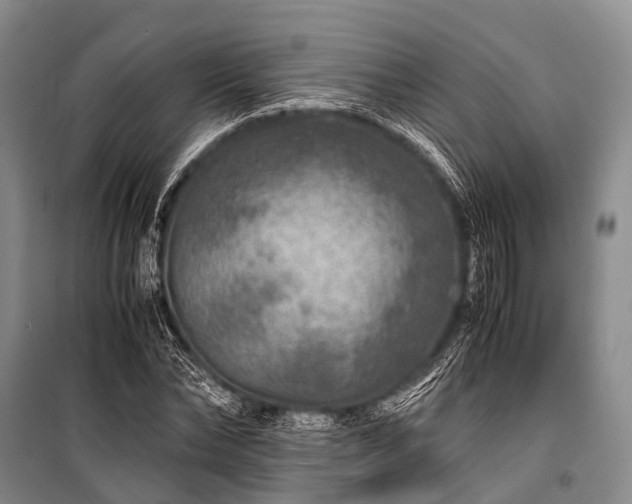 X0000100950878200807011306