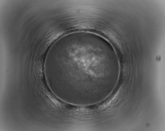 X0000100950881200807011306