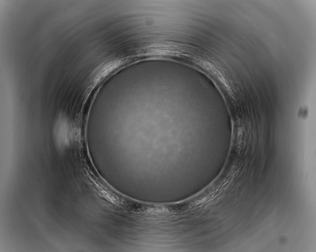 X0000100950882200807011306