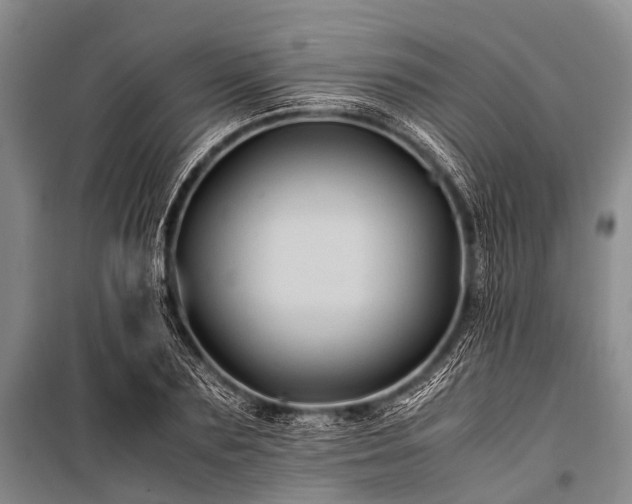 X0000100950883200807011306