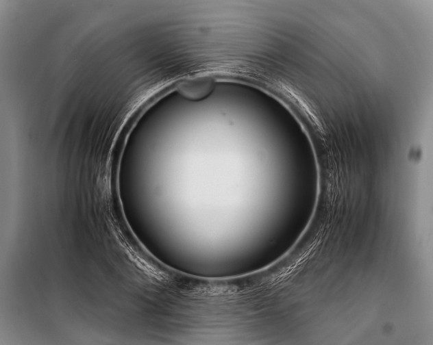 X0000100950884200807011306