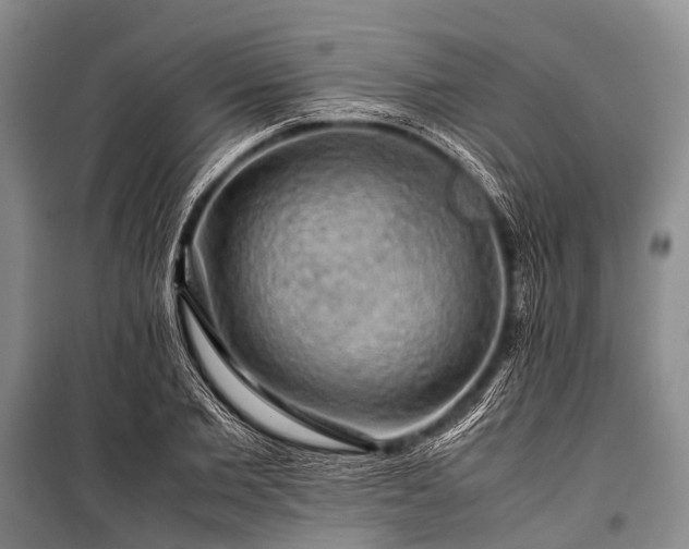 X0000100950885200807011306