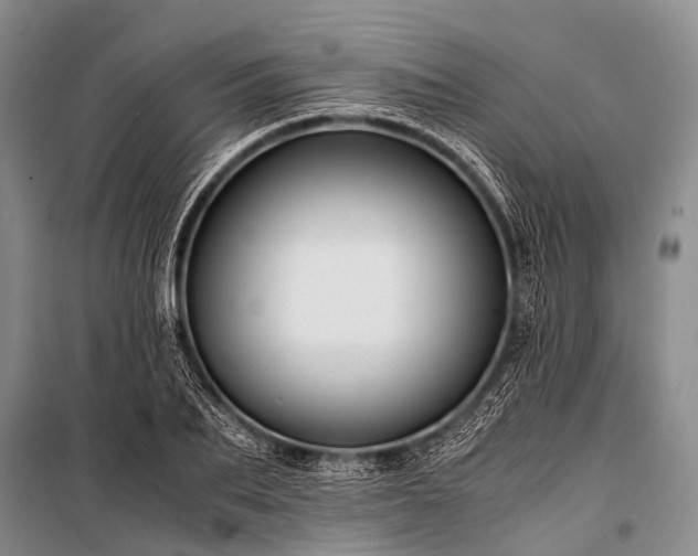 X0000100950887200807011306