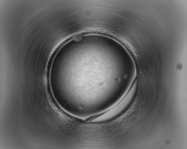 X0000100950888200807011306