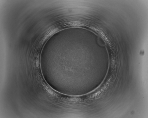 X0000100950889200807011306