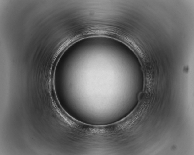 X0000100950890200807011306