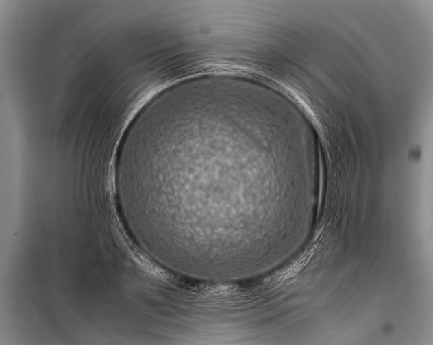 X0000100950891200807011306