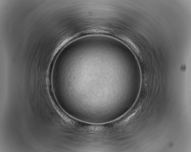 X0000100950893200807011306