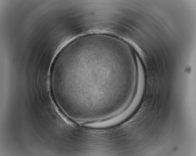 X0000100950894200807011306