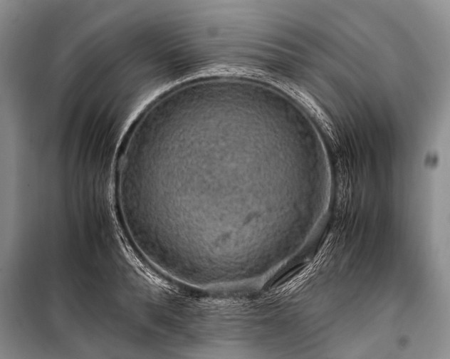 X0000100950896200807011306
