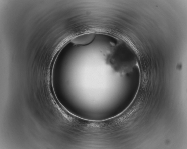 X0000100950898200807011306