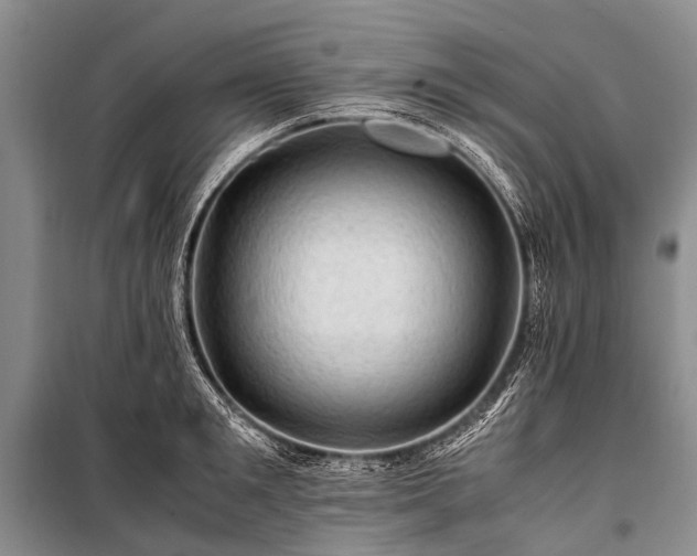 X0000100950901200807011306