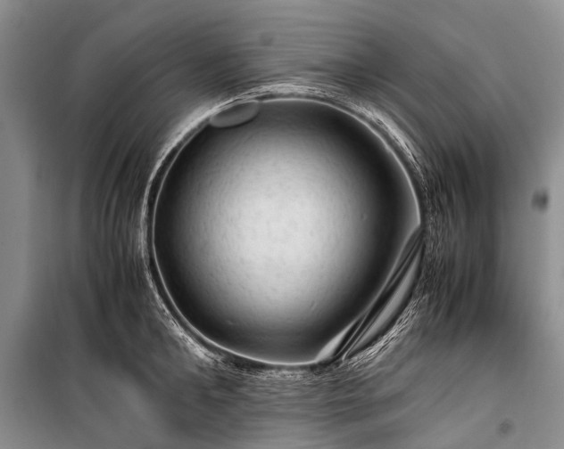 X0000100950902200807011306