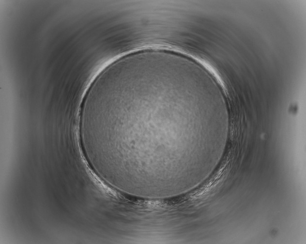 X0000100950903200807011306